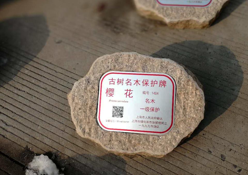 標牌鋁牌制作：樹木銘牌標牌